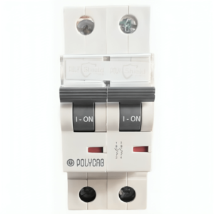 Polycab 100A DP C Curve 10kA HR (Higher Rating) MCB