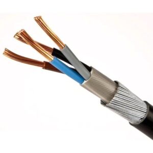 Polycab 10 sqmm 4 core Copper Armoured LT Power Cable