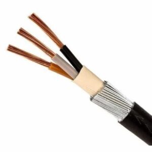 Polycab 2.5 sqmm 3 core Copper Armoured LT Power Cable
