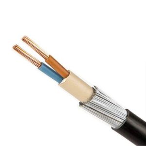 Polycab 2.5 sqmm 2 Core Copper Armoured LT Power Cable