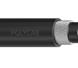 Polycab 1.5 sqmm 8 core Copper Armoured LT Power Cable