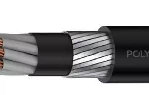 Polycab 1.5 sqmm 12 core Copper Armoured LT Power Cable